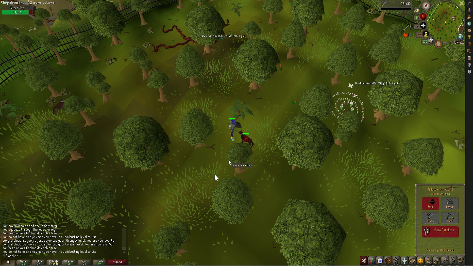 2025 osrs